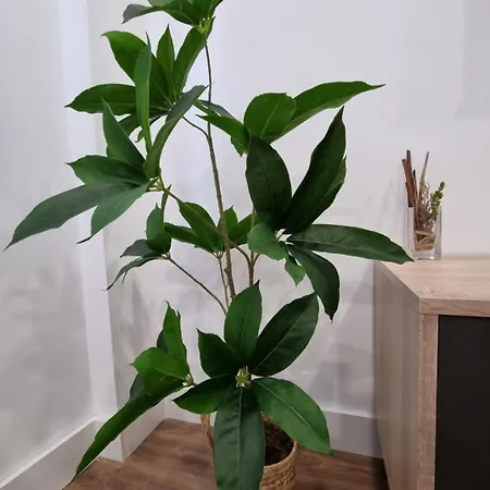 Tu Hogar En - Garaje Grande - 3hab 2baños- Ideal Familias Apartamento *